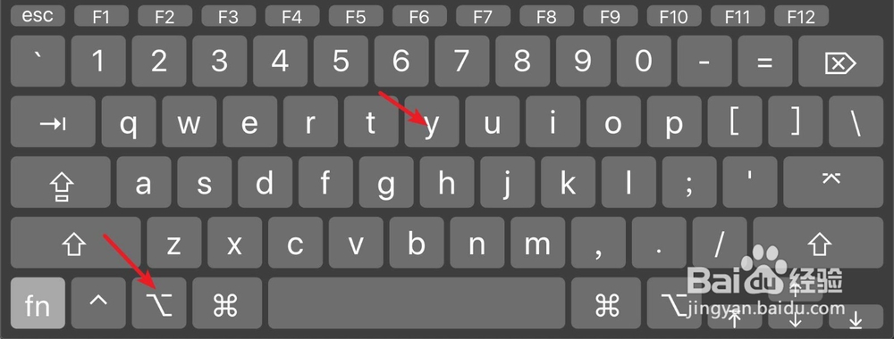 苹果电脑怎么输入版权符号商标符号人民币符号