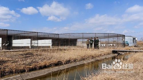 如何预防h7n9禽流感