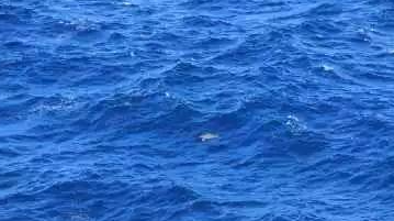 晒盐的基本流程