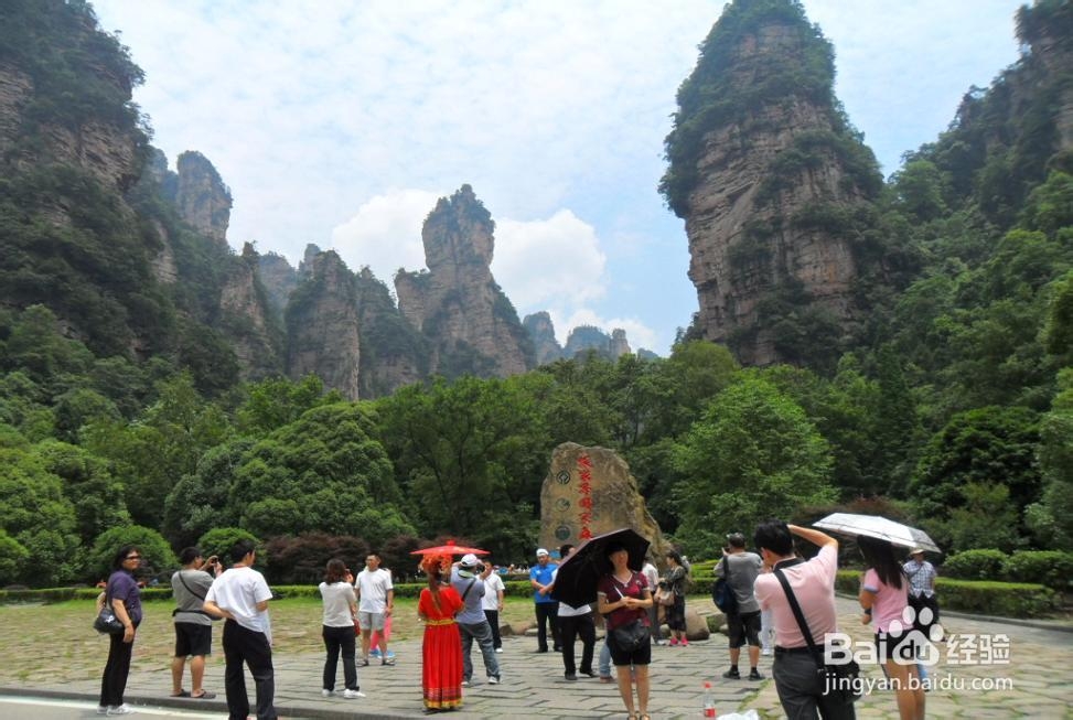 张家界自助游游记