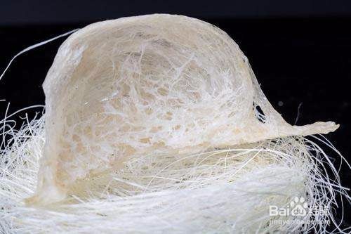 金腰燕燕窝分享鉴别燕窝方法