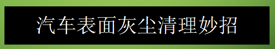 <b>汽车表面灰尘清理妙招</b>