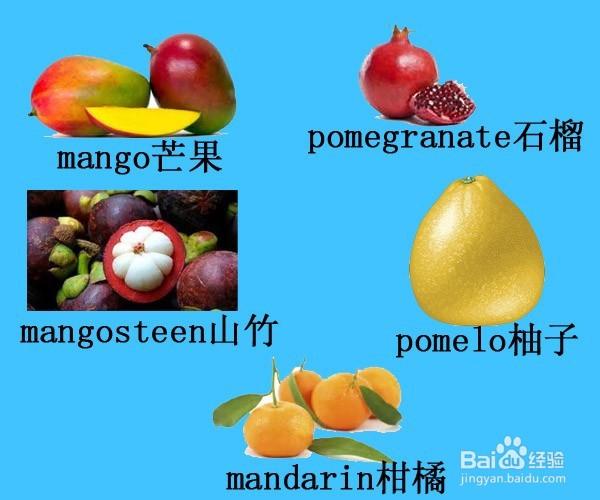 English Words:归类记忆各种水果(共28种水果)