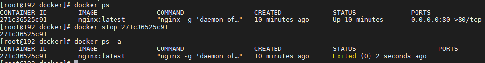 linux docker 使用教程