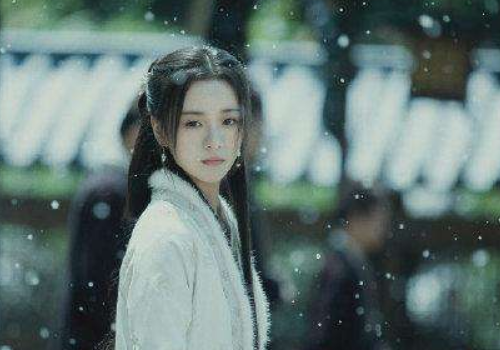 雪中悍刀行主演人员名单