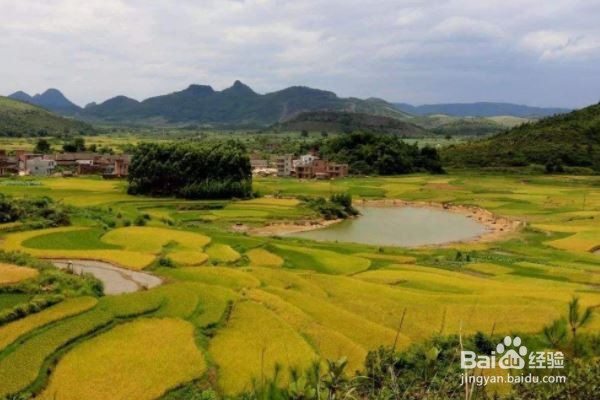 如何开发乡村农业旅游