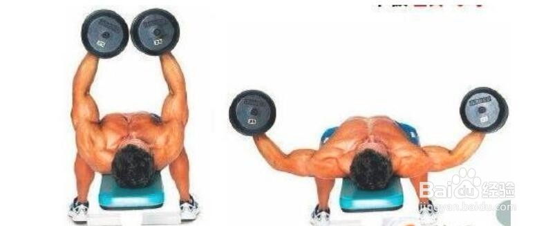 <b>扩大胸肌宽度的锻炼方法图片</b>