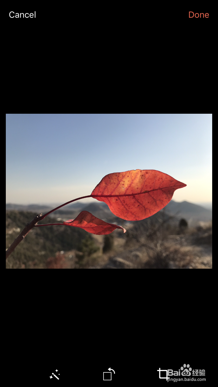 微信怎么发九宫格朋友圈?