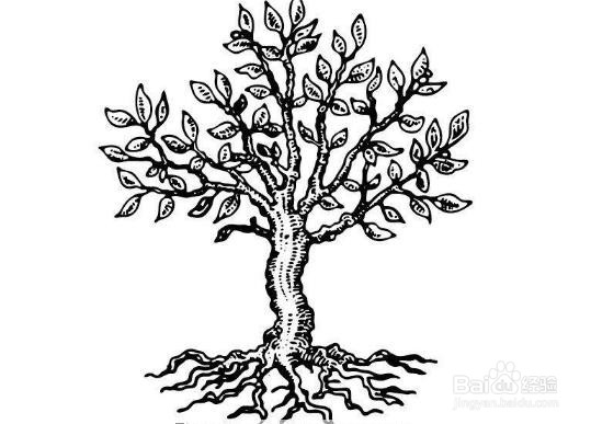 阴虚该怎样调理