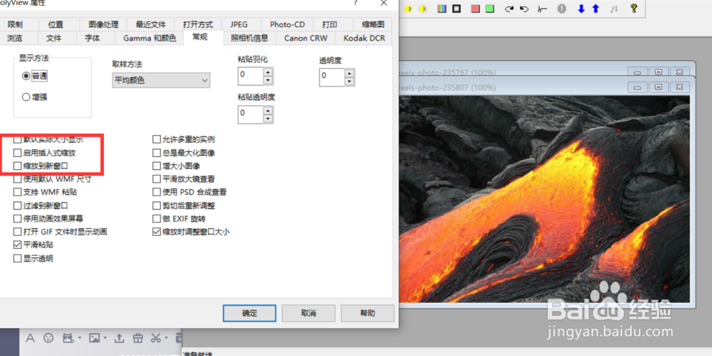 polyview如何启用插入式缩放功能？