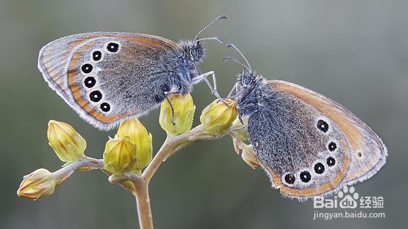 怎么坚持做好一件事