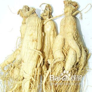 园参主要包括哪几种