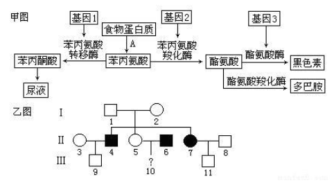 什么是苯丙酮尿症