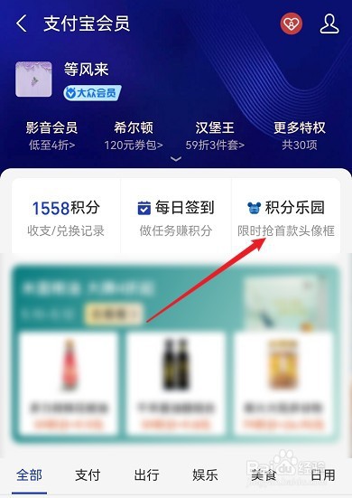 支付宝绿野仙踪头像框在哪获得