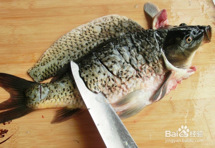 怎么做酸菜鱼的攻略/步骤