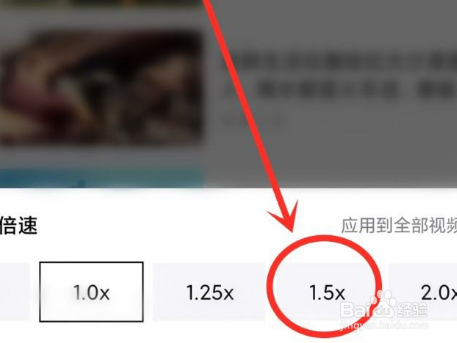 青桃APP怎么设置倍速播放