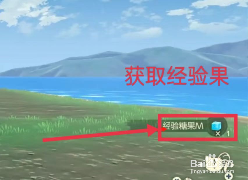 阿尔宙斯怎么升级快