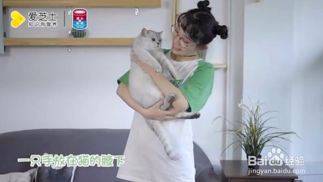 怎样抱猫咪最舒服（如何抱猫猫最舒服）