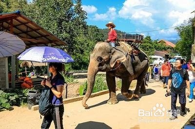 泰国有什么好玩的