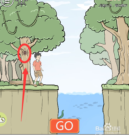 怎么拿到树上的蜘蛛