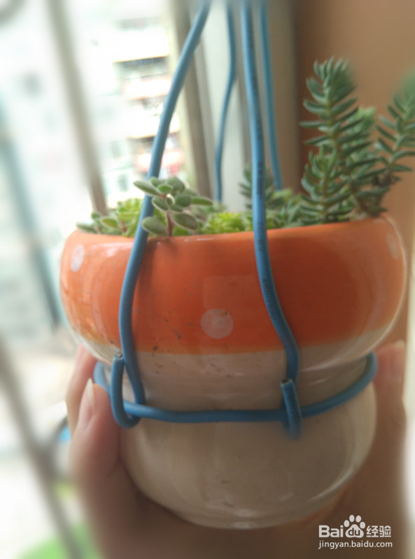 自制简易花盆吊架(适用于防盗网)