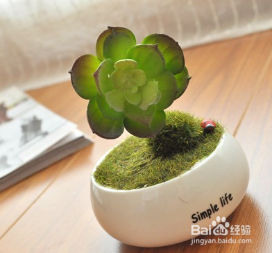 秋冬季节怎样保护宝宝柔嫩的皮肤