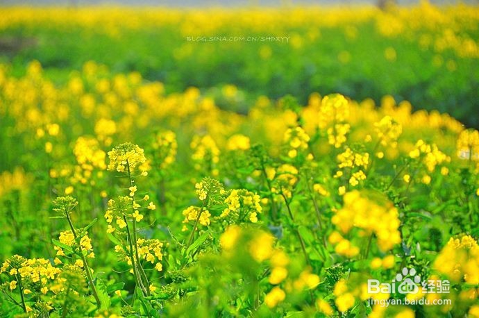 什么季节治疗汗管瘤效果最好?