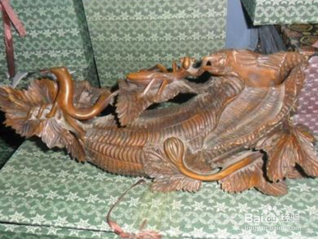 木蚁怎样识别？