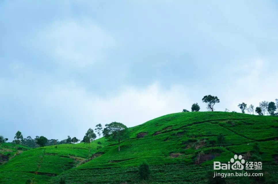 端午放假去哪玩好