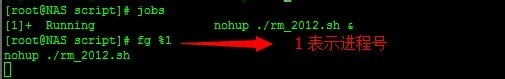 Linux nohup后台运行程序