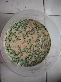 番茄鸡蛋饼做法(西红柿鸡蛋饼)怎么做