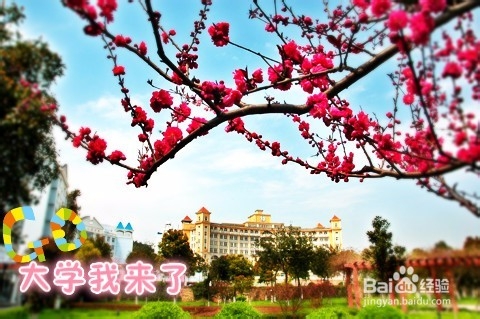 大学生必备神器你拥有了吗