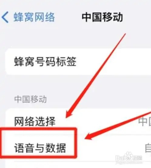 如何设置启用苹果独立5G