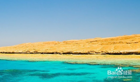 在海边游泳要注意什么？