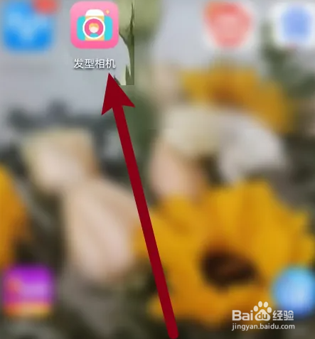 头发多适合做什么发型