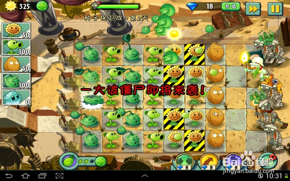 ​植物大战僵尸2神秘埃及种子保卫战第二天