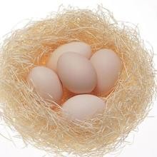 怎样挑选新鲜鸡蛋呢?