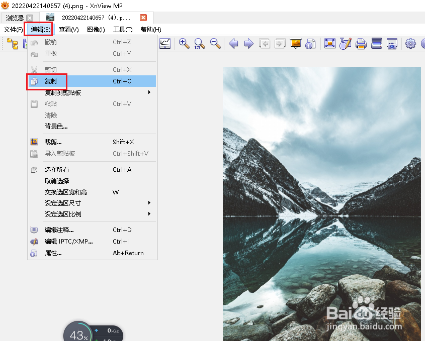 XnViewMP复制和粘贴图像的操作方法