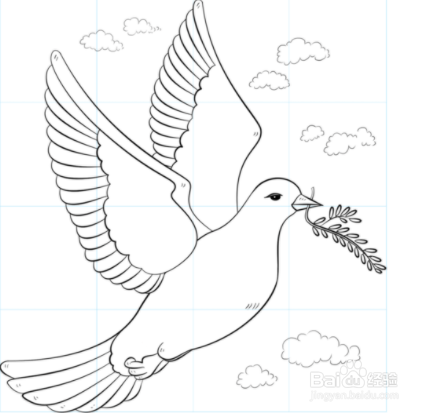 和平鸟画法图片