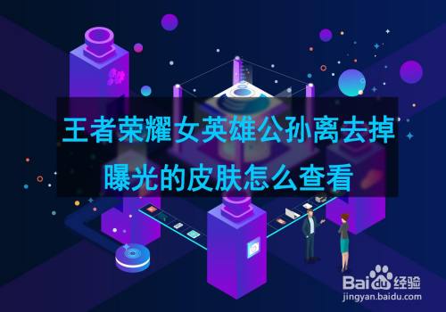 王者荣耀女英雄公孙离去掉曝光的皮肤怎么查看