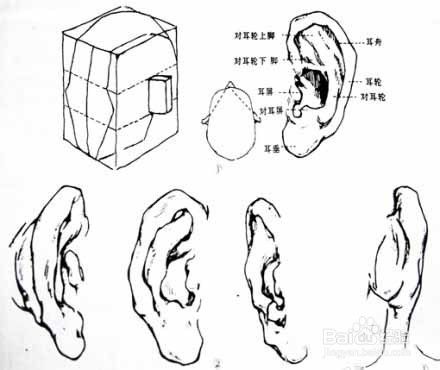 为什么我说话录音的声音和平时听到的声音不同？