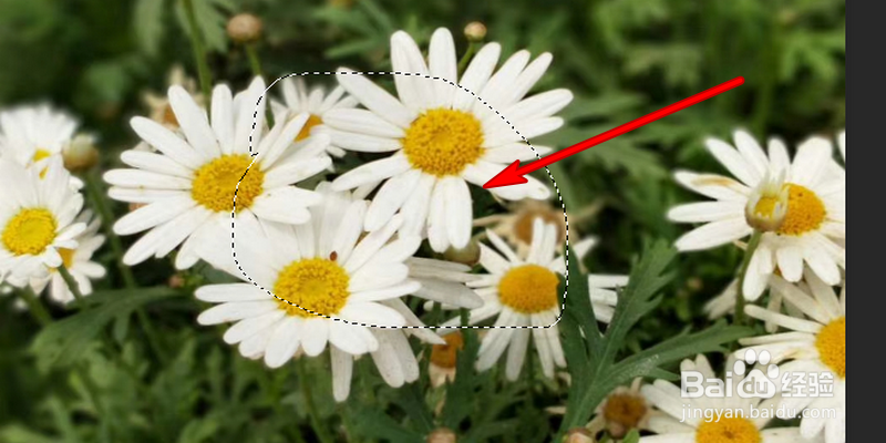 Photoshop添加马赛克