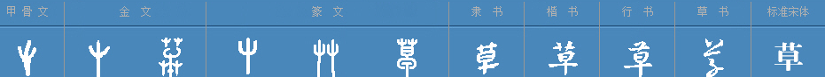 草和树有什么区别