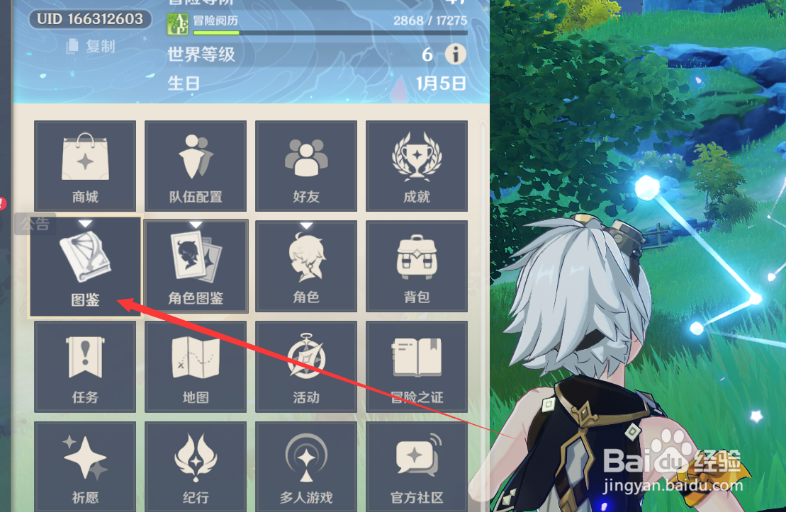 原神中如何查看莲蓬物品的解说