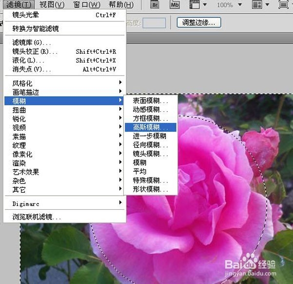 ps淘宝美工教程：[4]局部高光调制唯美图片
