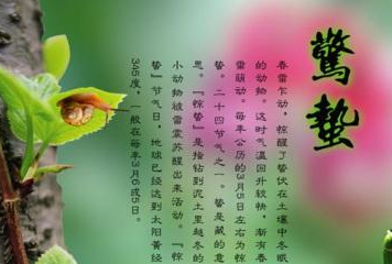 谁能解释“立春”“雨水”“惊蛰”“春分”“清明”“谷雨”的意思