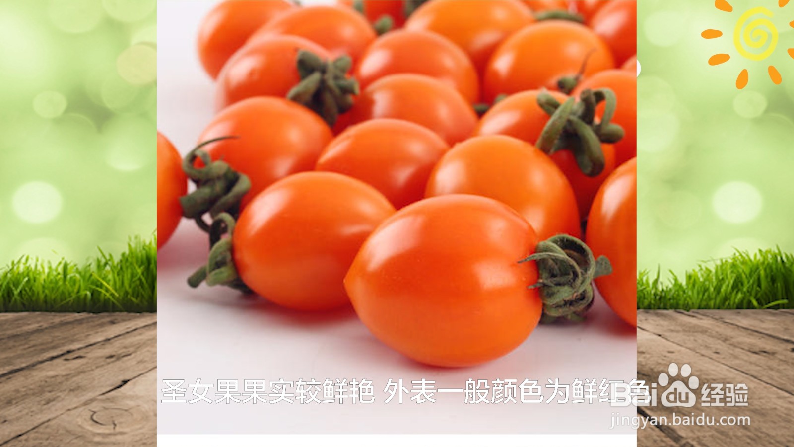 圣女果和西红柿的区别