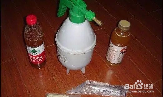 如何阳台盆栽种青菜?