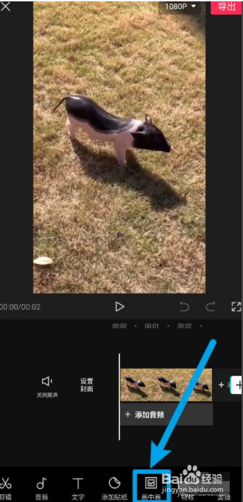 如何制作熊猫滚动特效视频