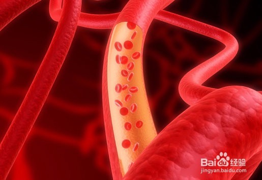 柿子惊人的秘密